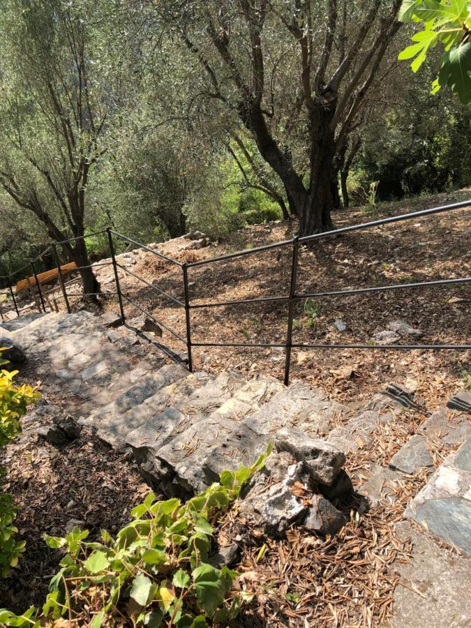 Cabane De L Esteron Gilette Εξωτερικό φωτογραφία